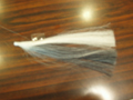 P1010009.JPG